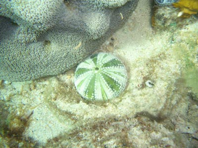 CIMG1367